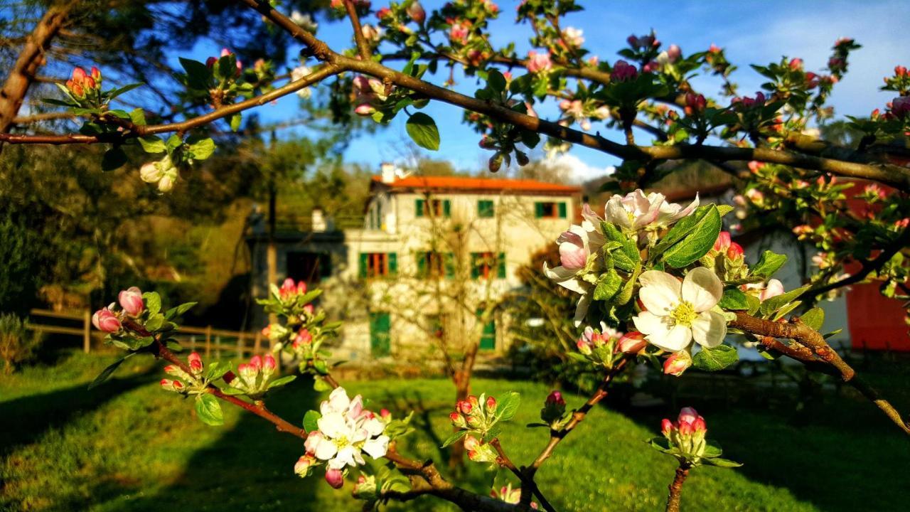 B&B Tre Ponti Castiglione Chiavarese Kültér fotó