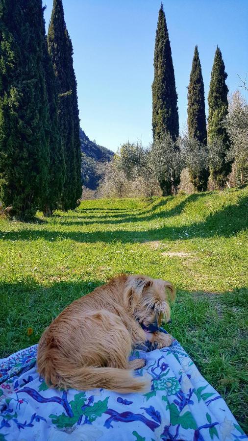 B&B Tre Ponti Castiglione Chiavarese Kültér fotó